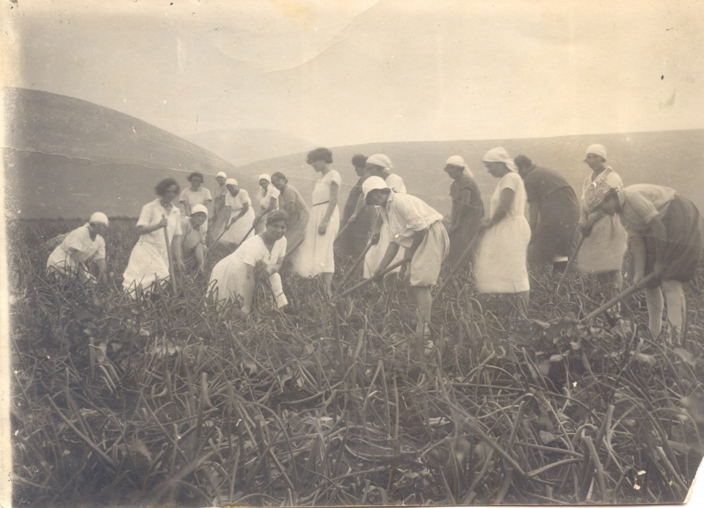 On Zionism and Gender – The Young Women’s&nbsp;Farm